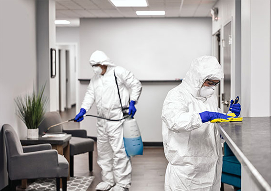 Disinfection & Sanitization