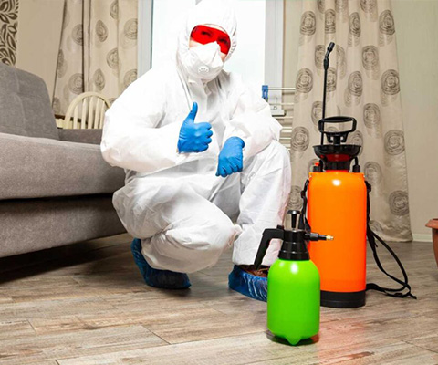 Termite Control