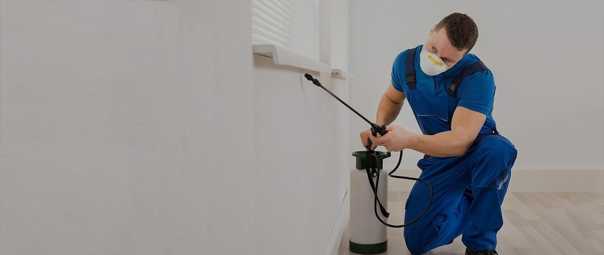 Pest Control Services in Abu Dhabi